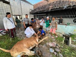 Harmonis, Kamesworo Sholat Idul Adha 1446 Hijriah Bersama Napi di Rutan kelas IIB Sampang