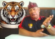 Ormas GAIB Perjuangan Akan Kerahkan 250 Massa, Buntut Kekecewaan Ke Kejari Sampang