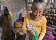 Gubuk Rapuh Jadi Saksi Perjuangan Hidup Dua Lansia di Desa Nyeloh