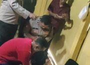 Gegerkan Warga Karang Penang, Bayi Perempuan Ditemukan Dalam Kardus Dalam Keadaan Meninggal