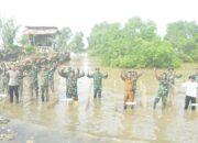 Dandim 0828/Sampang Tegaskan Penanaman Pohon Mangrove Guna Mewujudkan Wilayah Pesisir Yang Tangguh